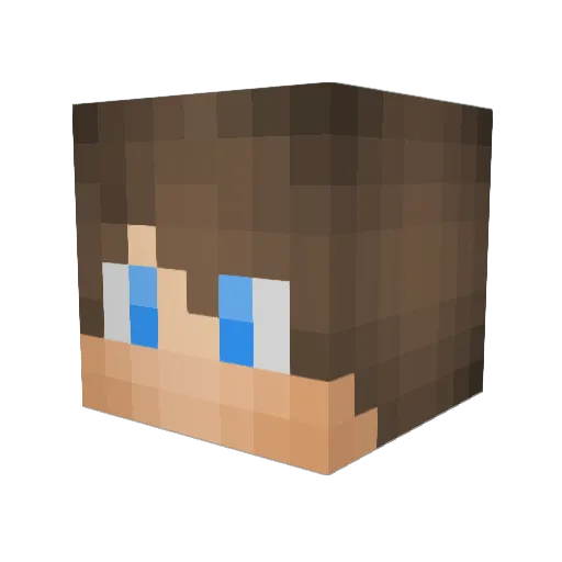 Stajny008cz Minecraft avatar head, 3D render