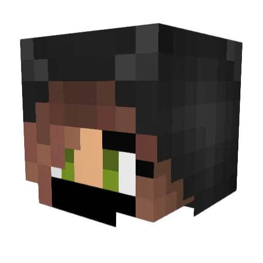 StaleCabbage271 Minecraft avatar head, 3D render