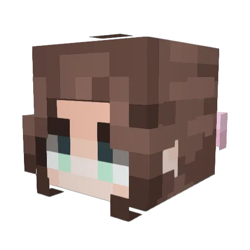 StaleMilk18 Minecraft avatar head, 3D render