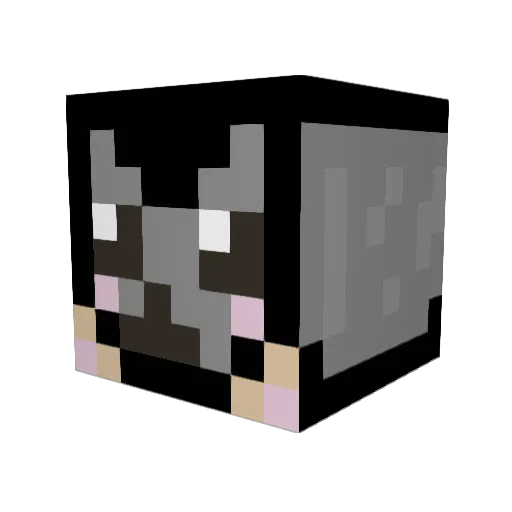 StaleStick Minecraft avatar head, 3D render
