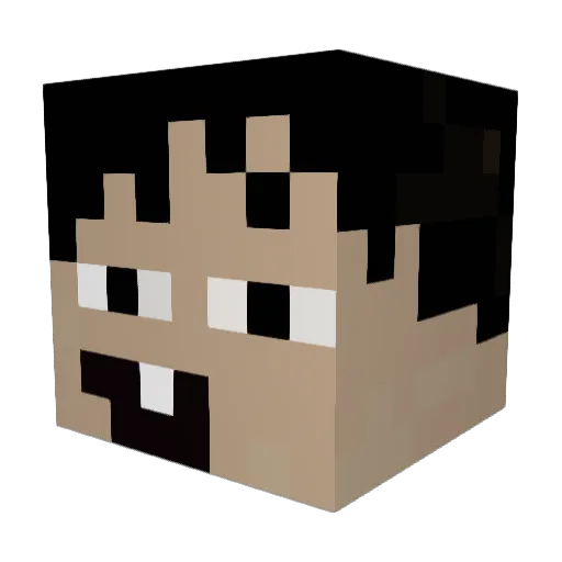 Stale_Fries_ Minecraft avatar head, 3D render