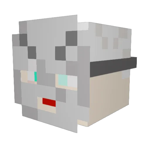 Stalenstruck1161 Minecraft avatar head, 3D render