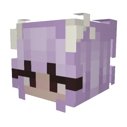 Staleramen1729 Minecraft avatar head, 3D render
