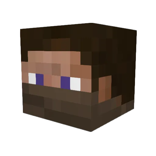 Stalker1881 Minecraft avatar head, 3D render