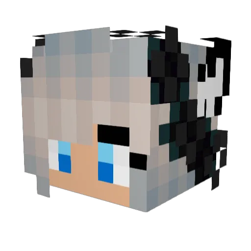Stalker2k Minecraft avatar head, 3D render
