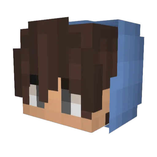 Stalker717 Minecraft avatar head, 3D render