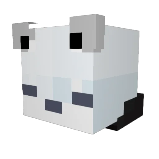 StalkerMaster Minecraft avatar head, 3D render
