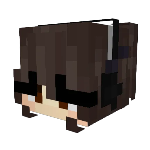 StalkerR2 Minecraft avatar head, 3D render