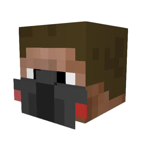 Stalker_NO Minecraft avatar head, 3D render