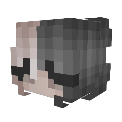 Stalouche Minecraft avatar head, 3D render
