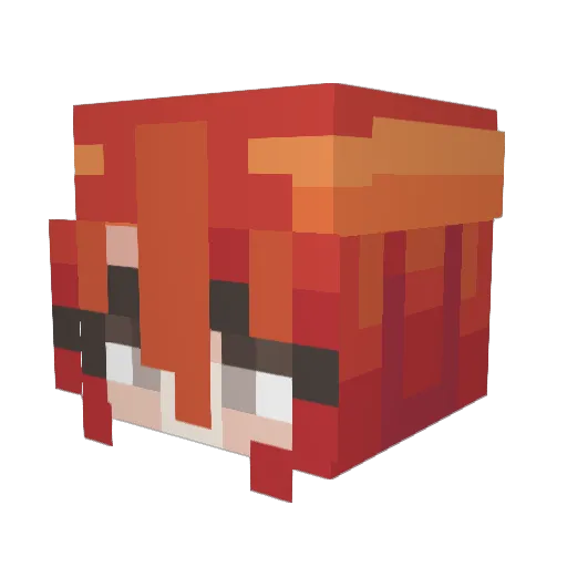 StalwartBanjo73 Minecraft avatar head, 3D render