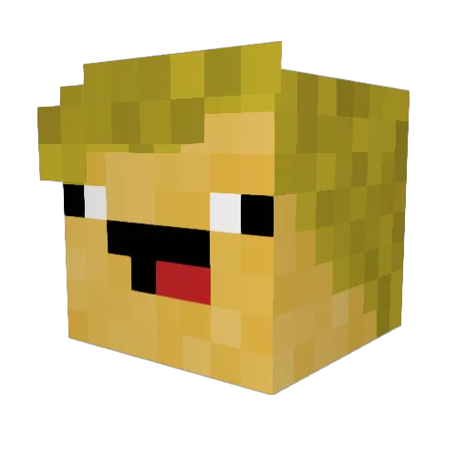 Stamikser Minecraft avatar head, 3D render