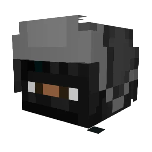 StaminUp Minecraft avatar head, 3D render