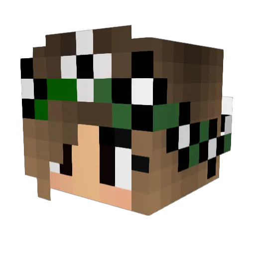 StampyKitten Minecraft avatar head, 3D render