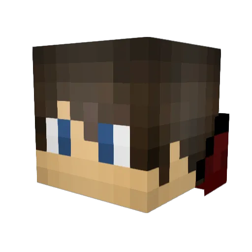 Stan1999 Minecraft avatar head, 3D render