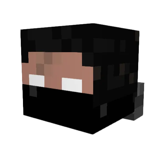 Stan2012 Minecraft avatar head, 3D render