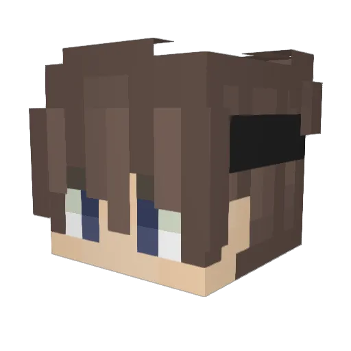 StanHasThePlan Minecraft avatar head, 3D render