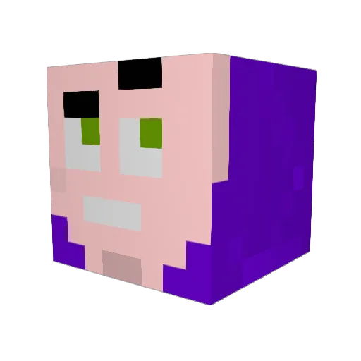 StanRim Minecraft avatar head, 3D render