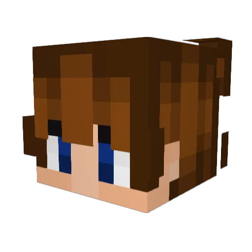 Stan_271 Minecraft avatar head, 3D render