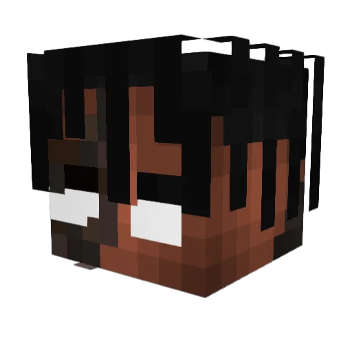 Stanco2002 Minecraft avatar head, 3D render