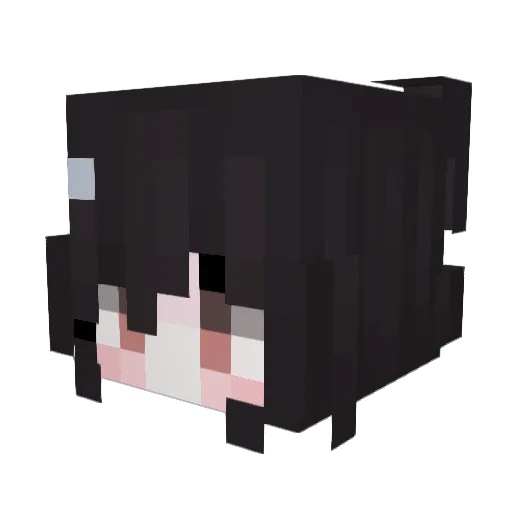 StandAloneTOO Minecraft avatar head, 3D render