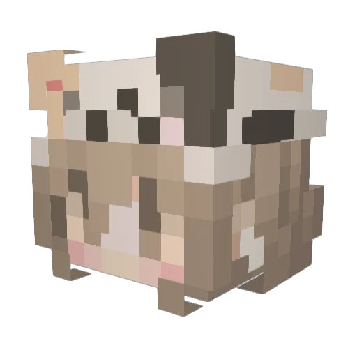StandingOnYou Minecraft avatar head, 3D render