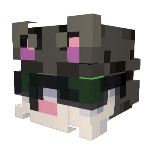 Stanek22 Minecraft avatar head, 3D render