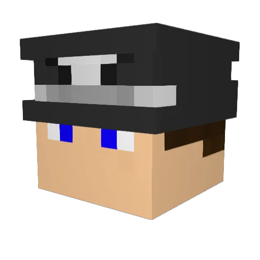 StanfordPines_ Minecraft avatar head, 3D render
