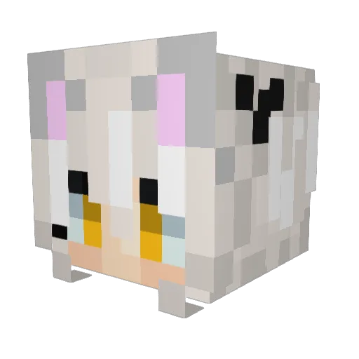 StangLife2007 Minecraft avatar head, 3D render