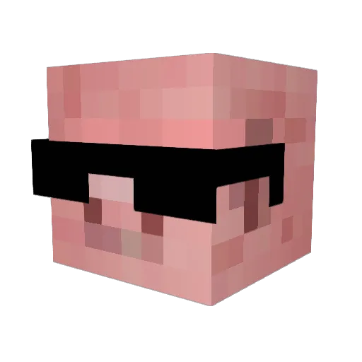StangoMango Minecraft avatar head, 3D render