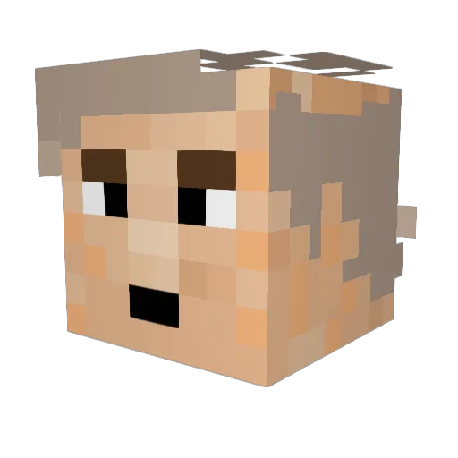 Stangruff1927 Minecraft avatar head, 3D render