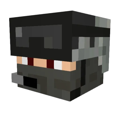 StanieDS Minecraft avatar head, 3D render