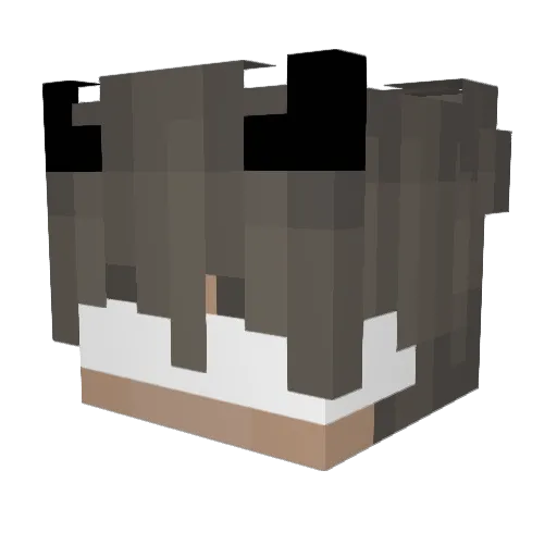 Stanik213 Minecraft avatar head, 3D render