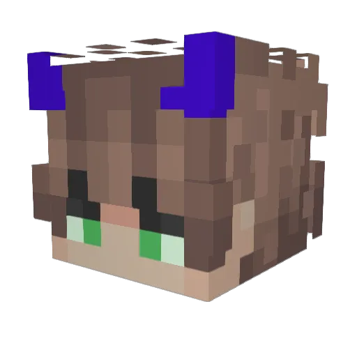 Stankeeeee Minecraft avatar head, 3D render