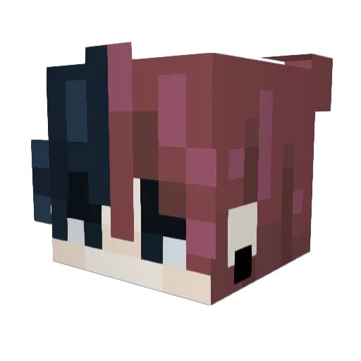 Stanky37662 Minecraft avatar head, 3D render