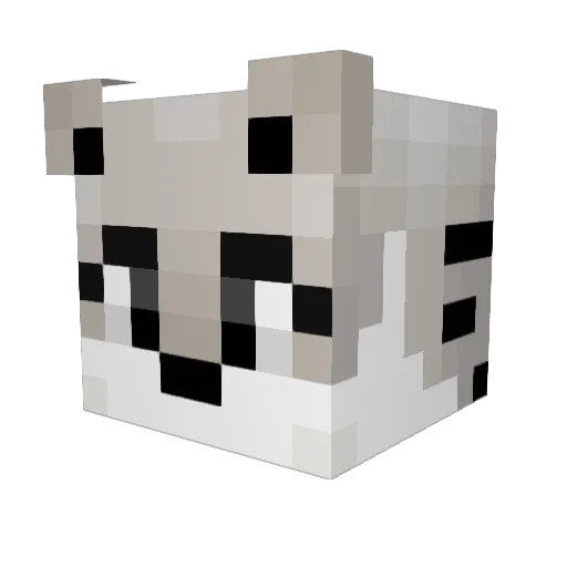 StankyPant Minecraft avatar head, 3D render
