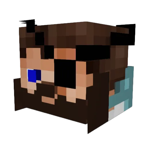 Stanley2Feathers Minecraft avatar head, 3D render