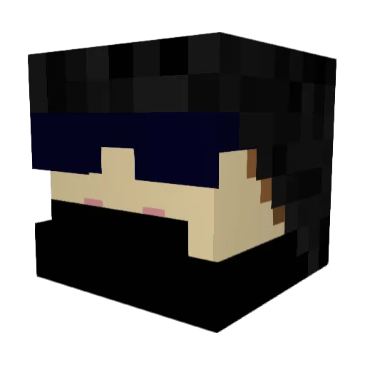 Stanley3110 Minecraft avatar head, 3D render