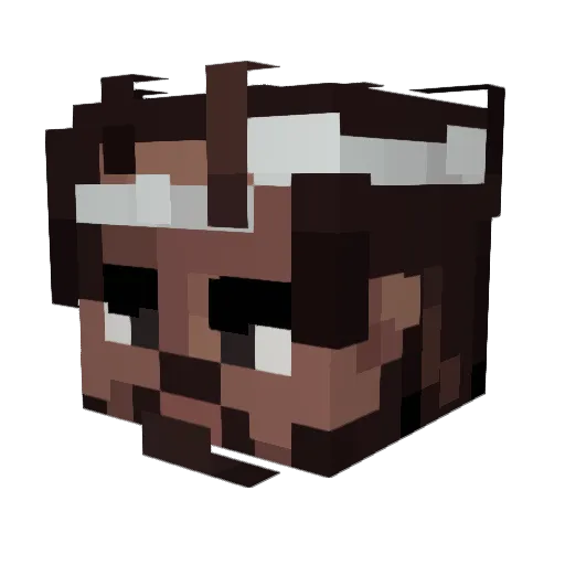 Stanley53 Minecraft avatar head, 3D render