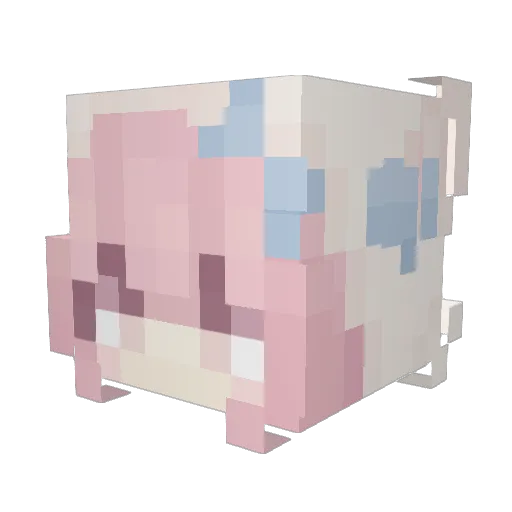 StanleyBae Minecraft avatar head, 3D render