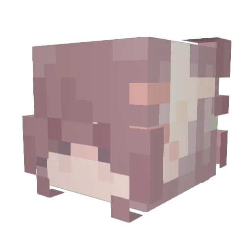 Stanningthestuff Minecraft avatar head, 3D render