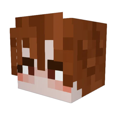 Stannyb0y Minecraft avatar head, 3D render