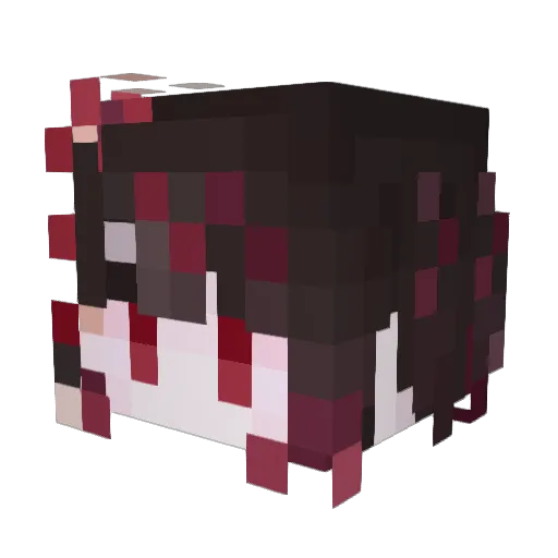 Stanoir Minecraft avatar head, 3D render