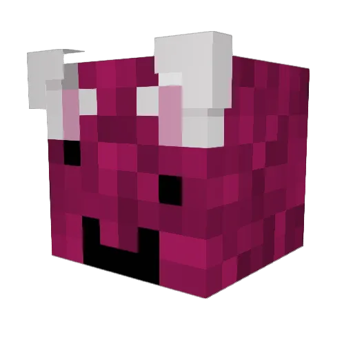 Stanok33 Minecraft avatar head, 3D render