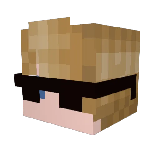 Stanzey Minecraft avatar head, 3D render