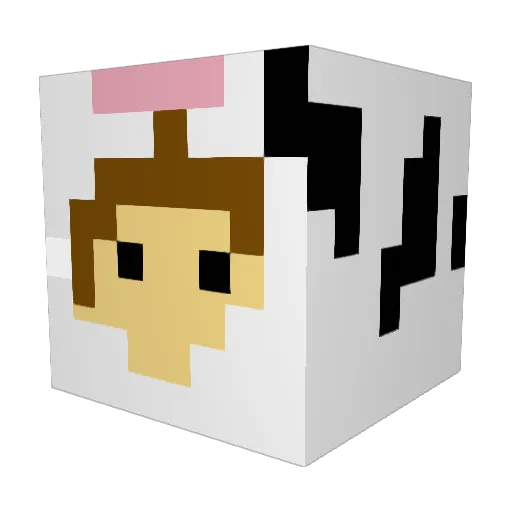 Stapleton2027 Minecraft avatar head, 3D render
