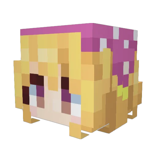 Star1ights Minecraft avatar head, 3D render