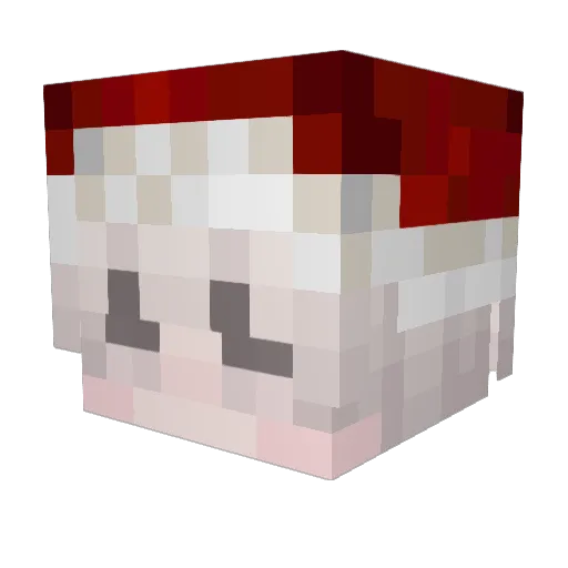 Star1ling Minecraft avatar head, 3D render
