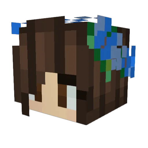 Star2010ol Minecraft avatar head, 3D render