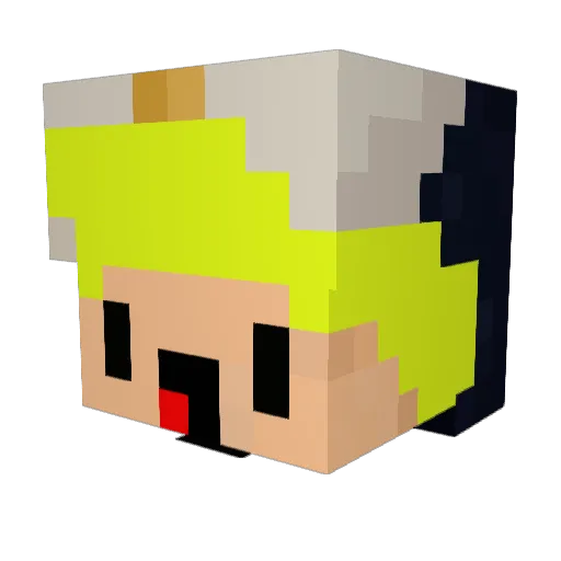 Star21005 Minecraft avatar head, 3D render